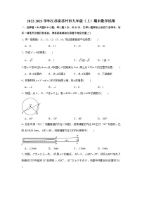 2022-2023学年江苏省苏州市九年级（上）期末数学试卷