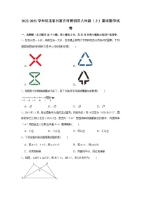 河北省石家庄市桥西区2022-2023学年八年级（上）期末数学试卷