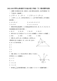 2022-2023学年山东省济宁市金乡县八年级（下）期末数学试卷（含解析）