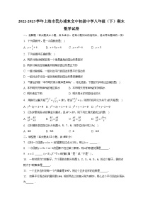 2022-2023学年上海市民办浦东交中初级中学八年级（下）期末数学试卷（含解析）