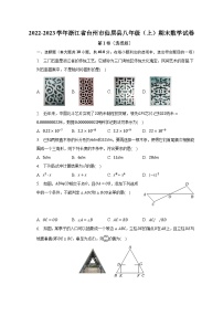 2022-2023学年浙江省台州市仙居县八年级（上）期末数学试卷（含解析）