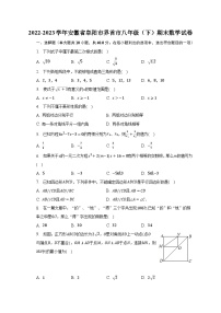 2022-2023学年安徽省阜阳市界首市八年级（下）期末数学试卷（含解析）