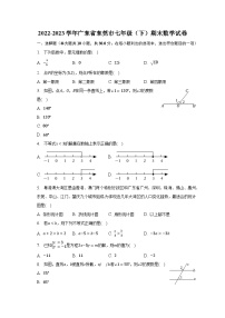 2022-2023学年广东省东莞市七年级（下）期末数学试卷（含解析）