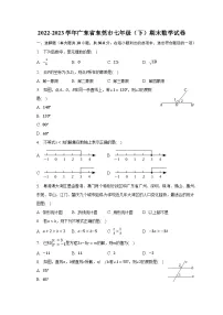 2022-2023学年广东省东莞市七年级(下)期末数学试卷(含解析)
