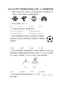 2022-2023学年广东省深圳市龙岗区八年级（下）期末数学试卷（含解析）