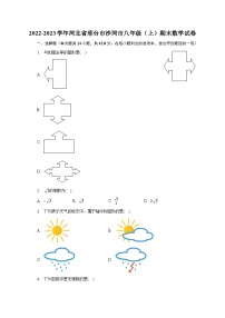 2022-2023学年河北省邢台市沙河市八年级（上）期末数学试卷（含解析）