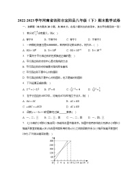 2022-2023学年河南省洛阳市宜阳县八年级（下）期末数学试卷（含解析）