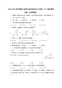 2022-2023学年黑龙江省哈尔滨市道里区七年级（下）期末数学试卷（五四学制）（含解析）