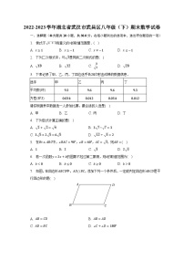 2022-2023学年湖北省武汉市武昌区八年级（下）期末数学试卷（含解析）