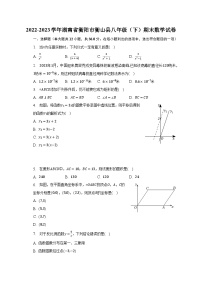 2022-2023学年湖南省衡阳市衡山县八年级（下）期末数学试卷（含解析）