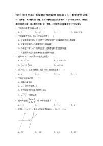 2022-2023学年山东省德州市武城县七年级（下）期末数学试卷(含解析)