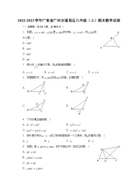 2022-2023学年广东省广州市番禺区八年级（上）期末数学试卷（含解析）