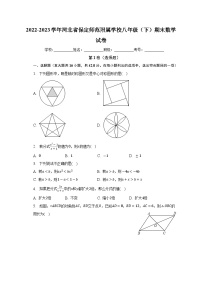 河北省+保定市+莲池区河北保定师范附属学校2022-2023学年八年级下学期期末数学试卷（含答案）