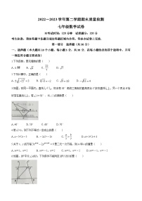 辽宁省葫芦岛市兴城市2022-2023学年七年级下学期期末数学试题（含答案）