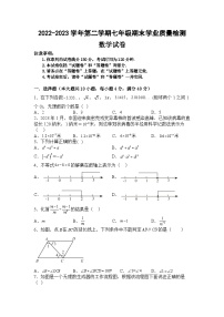 安徽省名校联考2022-2023学年七年级下学期期末学业质量检测数学试卷(含解析)