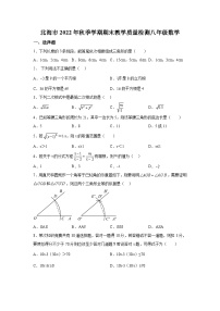 广西省北海市2022-2023学年八年级上学期期末教学质量检测数学试卷(含解析)