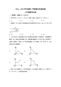 河北省邯郸市临漳县2021-2022学年七年级下学期期末质量检测数学试卷(含解析)