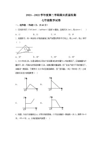 河北省邯郸市临漳县2021-2022学年七年级下学期期末质量检测数学试卷(含解析)