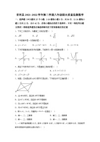 河北省廊坊市香河县2021-2022学年八年级下学期期末质量监测数学试卷(含解析)