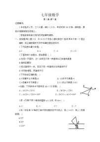 河南省安阳市滑县2022-2023学年七年级下学期期中考试数学试卷(含答案)