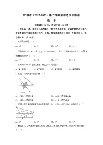 湖北省孝感市应城市2022-2023学年七年级下学期期中考试数学试卷(含解析)