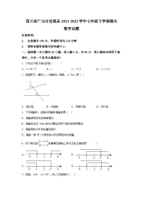 四川省广元市苍溪县2021-2022学年七年级下学期期末学业水平质量监测数学试卷(含解析)