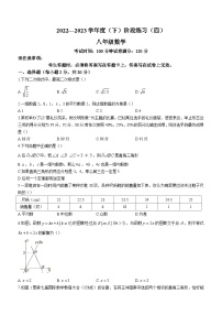 辽宁省葫芦岛市连山区2022-2023学年八年级下学期期末数学试题（含答案）