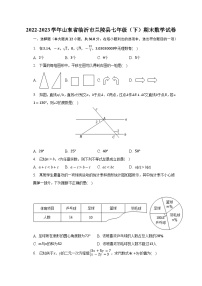 山东省临沂市兰陵县2022-2023学年下学期七年级期末数学试卷（含答案）