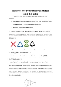 云南省文山州2022-2023学年八年级下学期义务教育阶段学业水平质量监测数学试题卷（含答案）