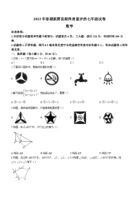 河南省南阳市新野县2022-2023学年七年级下学期期末数学试题（含答案）