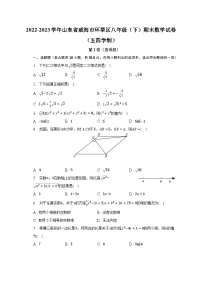 2022-2023学年山东省威海市环翠区八年级（下）期末数学试卷（五四学制）（含解析）