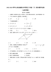 2022-2023学年山东省威海市环翠区八年级（下）期末数学试卷（五四学制）（含解析）