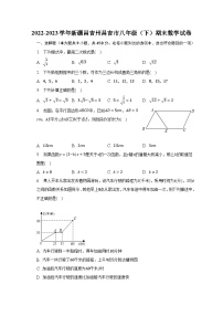 2022-2023学年新疆昌吉州昌吉市八年级（下）期末数学试卷（含解析）