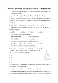 2022-2023学年安徽省阜阳市临泉县八年级（下）期末数学试卷（含解析）