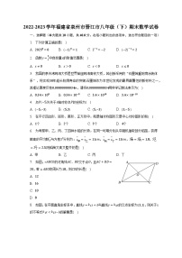 2022-2023学年福建省泉州市晋江市八年级（下）期末数学试卷（含解析）