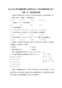 2022-2023学年福建省厦门市思明区双十中学五缘湾实验中学八年级（下）期末数学试卷（含解析）