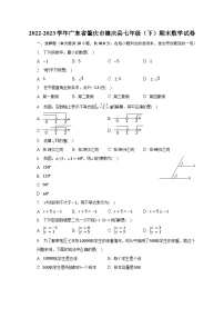 2022-2023学年广东省肇庆市德庆县七年级（下）期末数学试卷（含解析）