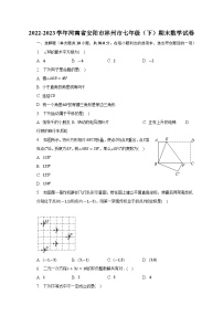 2022-2023学年河南省安阳市林州市七年级（下）期末数学试卷（含解析）