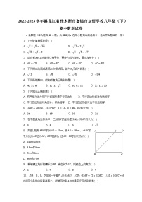 2022-2023学年黑龙江省佳木斯市富锦市双语学校八年级（下）期中数学试卷（含解析）