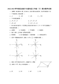 2022-2023学年湖北省咸宁市嘉鱼县八年级（下）期末数学试卷（含解析）