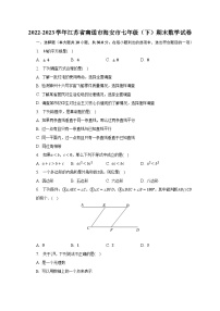 2022-2023学年江苏省南通市海安市七年级（下）期末数学试卷（含解析）