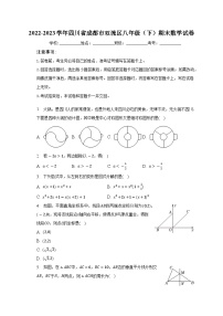 四川省成都市双流区2022-2023学年八年级下学期期末数学试卷（含答案）