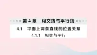 湘教版七年级下册4.1.1相交与平行作业ppt课件