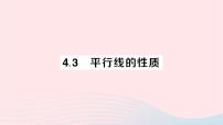 湘教版七年级下册4.3 平行线的性质作业ppt课件