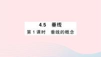 初中数学湘教版七年级下册4.5 垂线作业课件ppt