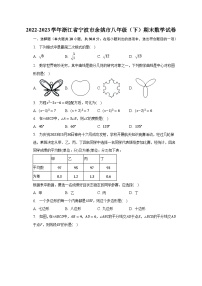 2022-2023学年浙江省宁波市余姚市八年级（下）期末数学试卷（含解析）