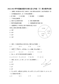 2022-2023学年福建省福州市连江县七年级（下）期末数学试卷（含解析）