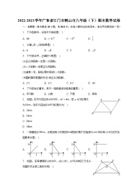 2022-2023学年广东省江门市鹤山市八年级（下）期末数学试卷（含解析）