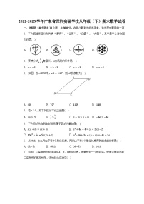 2022-2023学年广东省深圳实验学校八年级（下）期末数学试卷（含解析）