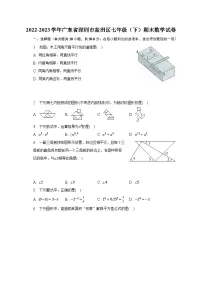 2022-2023学年广东省深圳市盐田区七年级（下）期末数学试卷（含解析）